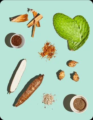 Ingrédients botaniques plantes cactus racines – soda Olipop certifié vegan sans gluten sans OGM